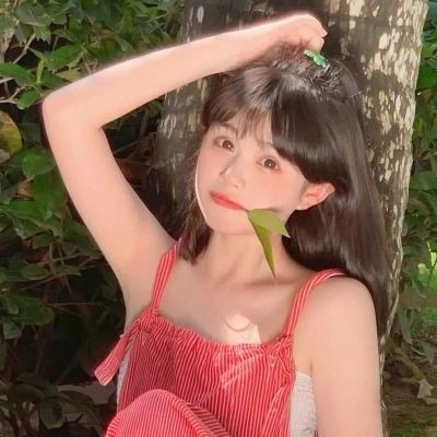 乱世名将变态版果盘版下载
